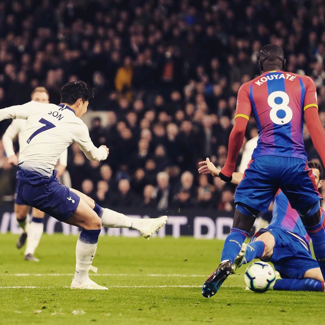 的可能发展 的可能发展