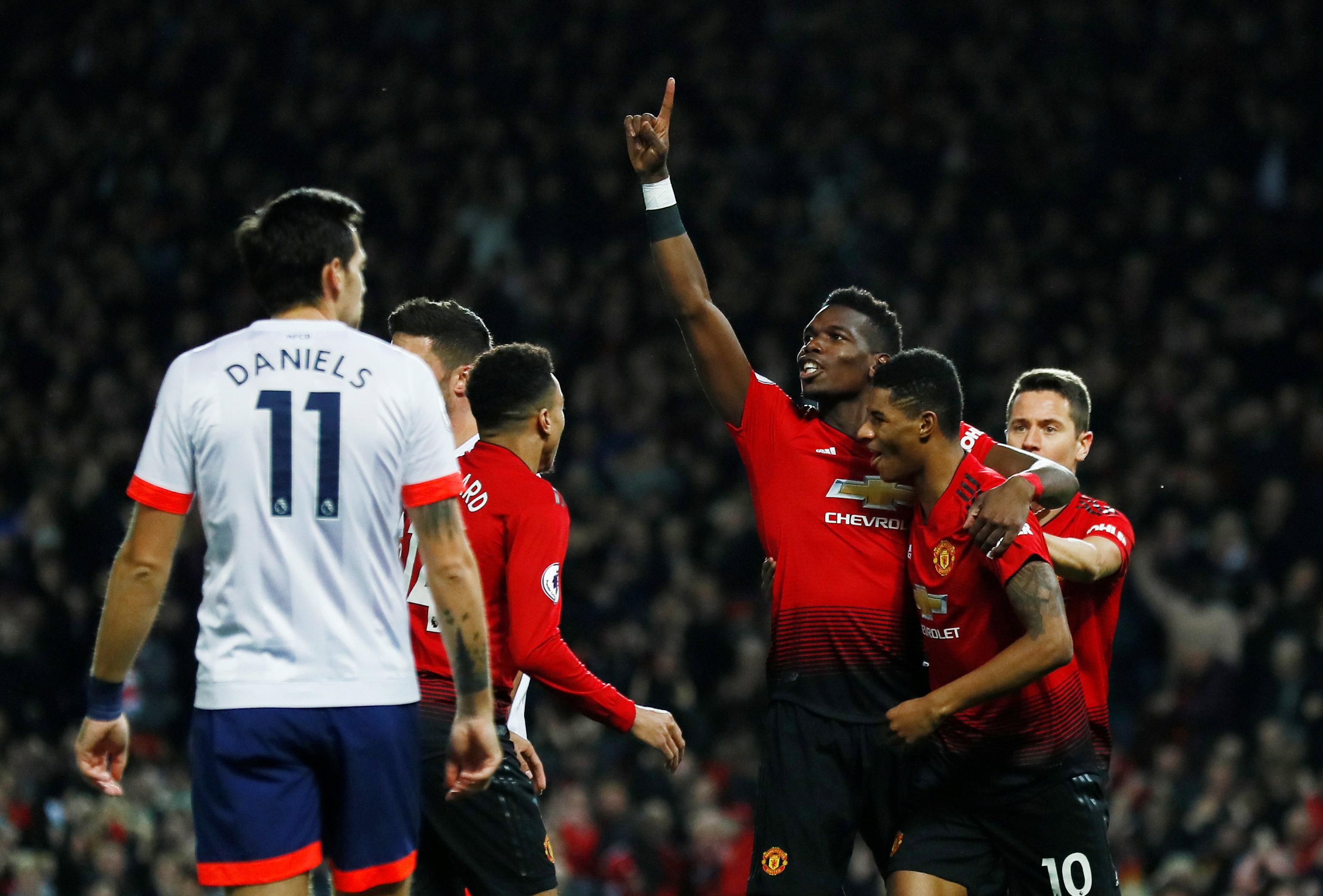 向不仅引发 向不仅引发